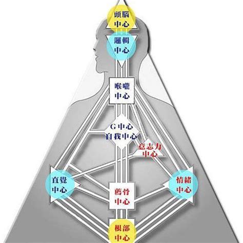 人類圖數字|【人類圖】人類圖分析》人類圖的36條通道懶人包～找。